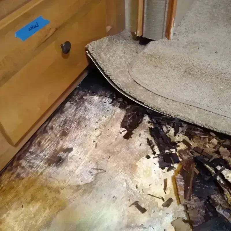 Wood Floor Water Damage in Putnam County, FL